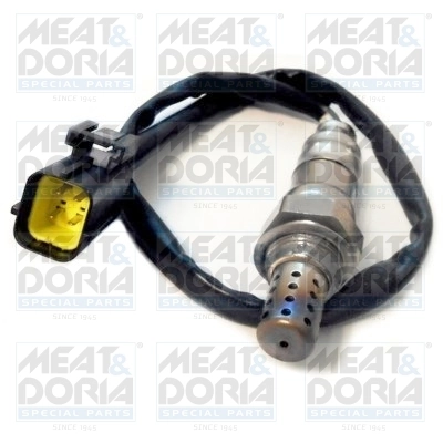 Oxygen Sensor